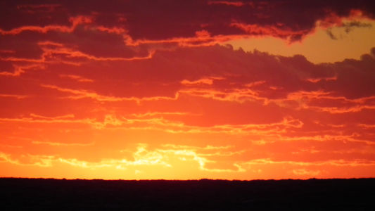 夕日