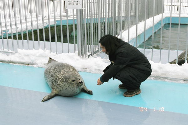 炵QC
